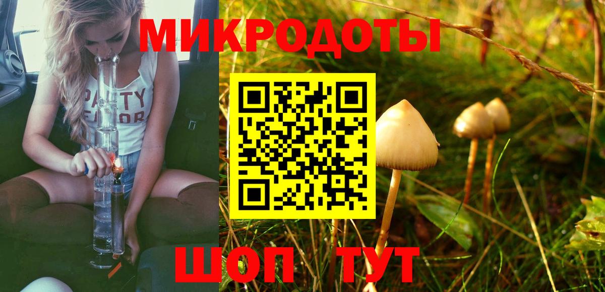 Петрозаводск  Псилоцибиновые грибы Psilocybe  Вход с VPN  Псилоцибиновые грибы MAGIC MUSHROOMS 