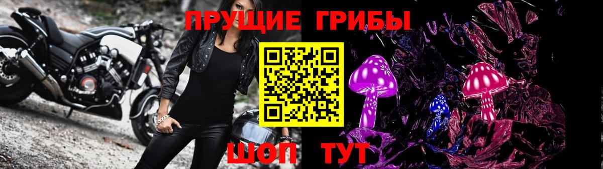 Псилоцибиновые грибы GOLDEN TEACHER Петрозаводск
